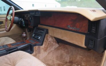 Johnson-phantom-1986-custom-41
