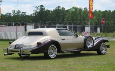 Johnson-phantom-1986-custom-7