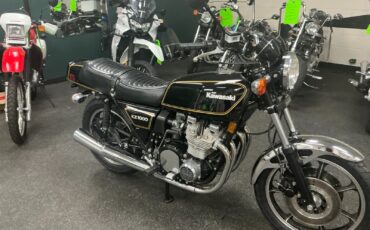 Kawasaki-Other-1980-1