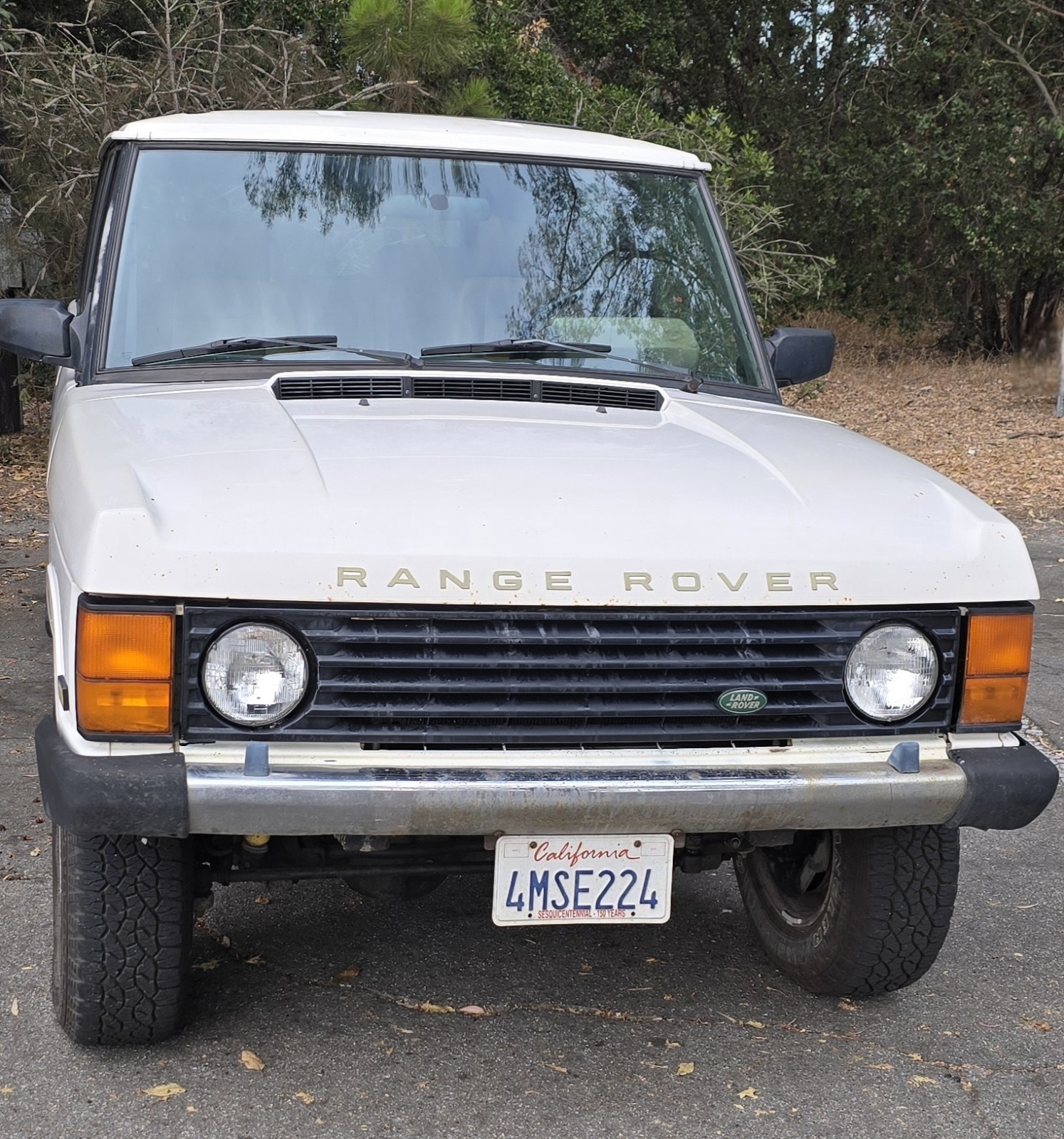 Land-Rover-Range-Rover-1994-SUV-3