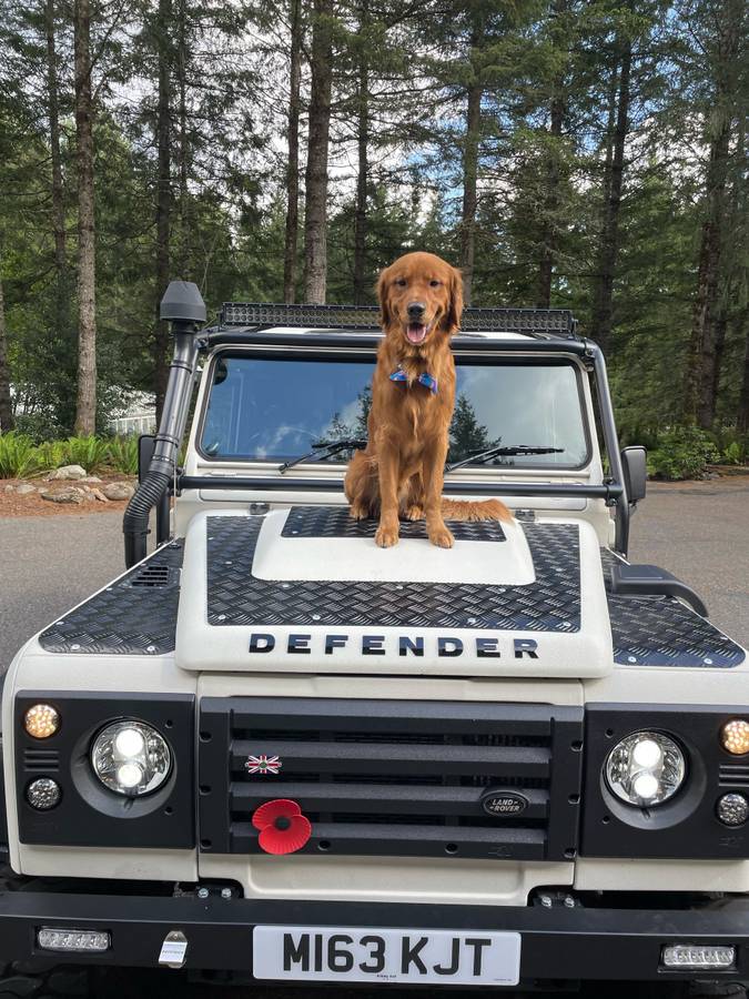 Landrover-defender-diesel-1994-white-43