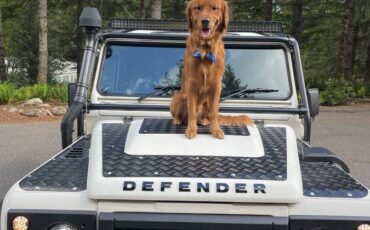 Landrover-defender-diesel-1994-white-52