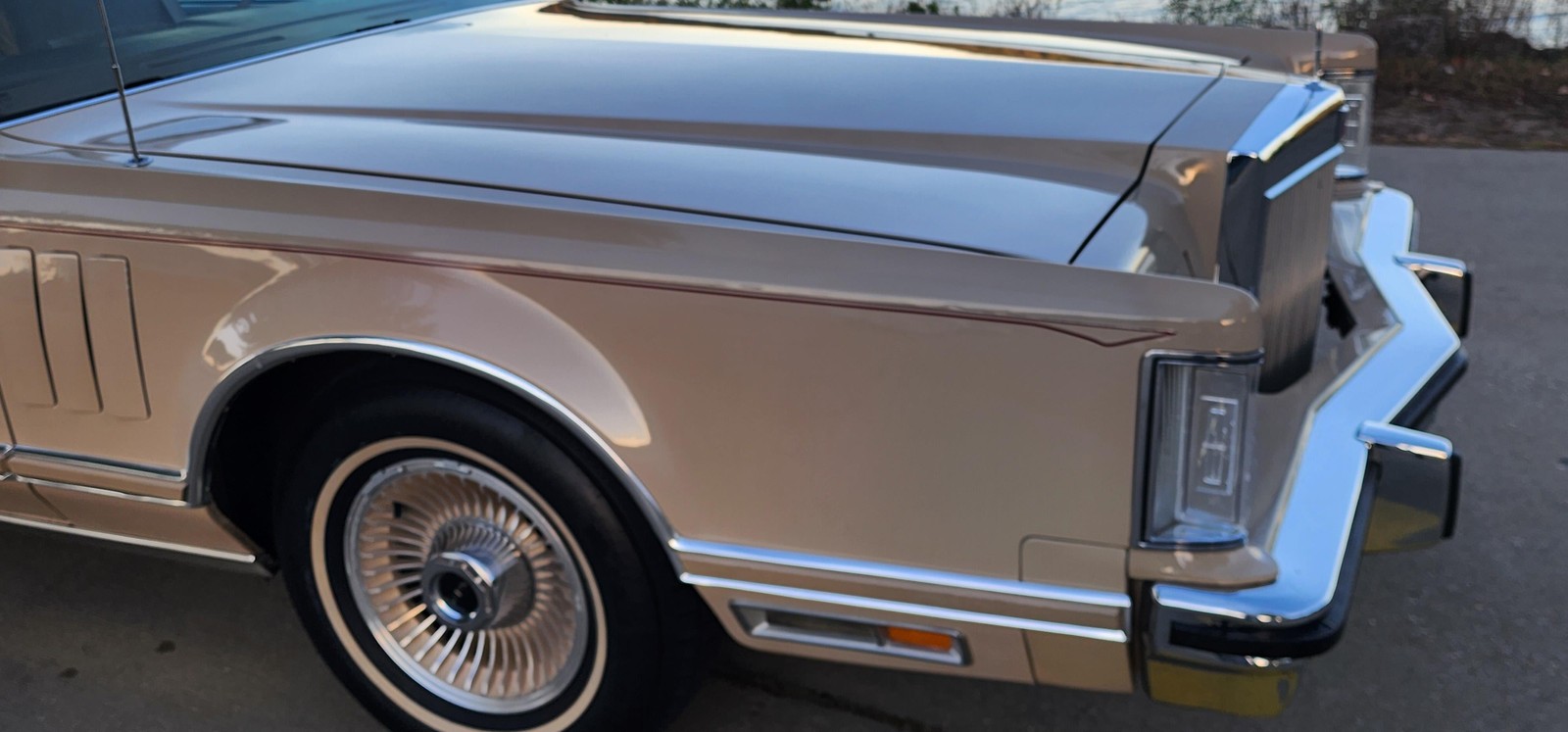 Lincoln-Continental-1979-2-dr-19