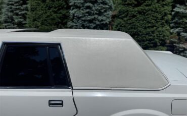 Lincoln-Limousine-1988-White-Gray-10