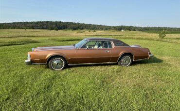 Lincoln-Mark-iv-1974-Brown-WhiteBrown-1