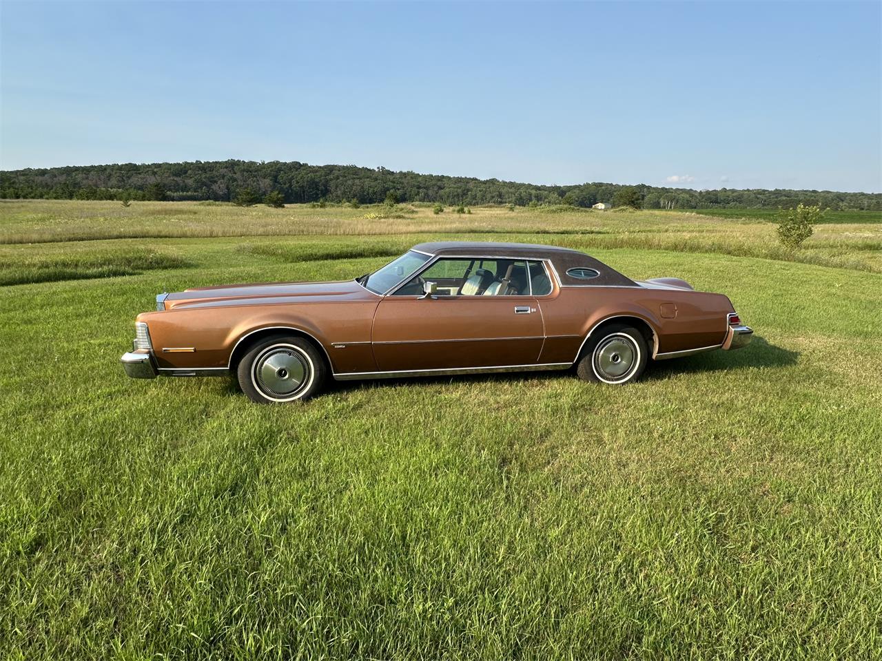 Lincoln-Mark-iv-1974-Brown-WhiteBrown-1