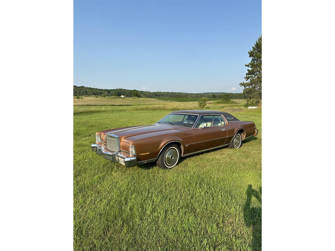 Lincoln-Mark-iv-1974-Brown-WhiteBrown-6