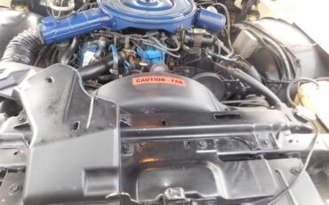 Lincoln-Mark-v-1978-Cream-Cream-10