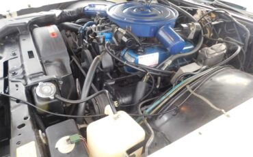 Lincoln-Mark-v-1978-Cream-Cream-11