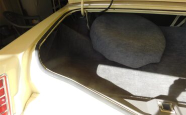 Lincoln-Mark-v-1978-Cream-Cream-16