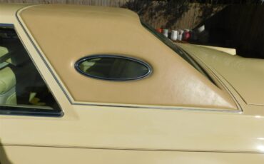 Lincoln-Mark-v-1978-Cream-Cream-6