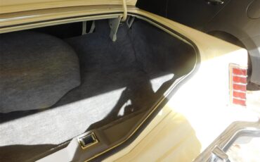 Lincoln-Mark-v-1978-Cream-Cream-9