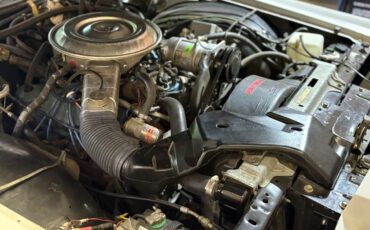 Lincoln-Mk-5-1979-Dove-Gray-Dove-Gray-2