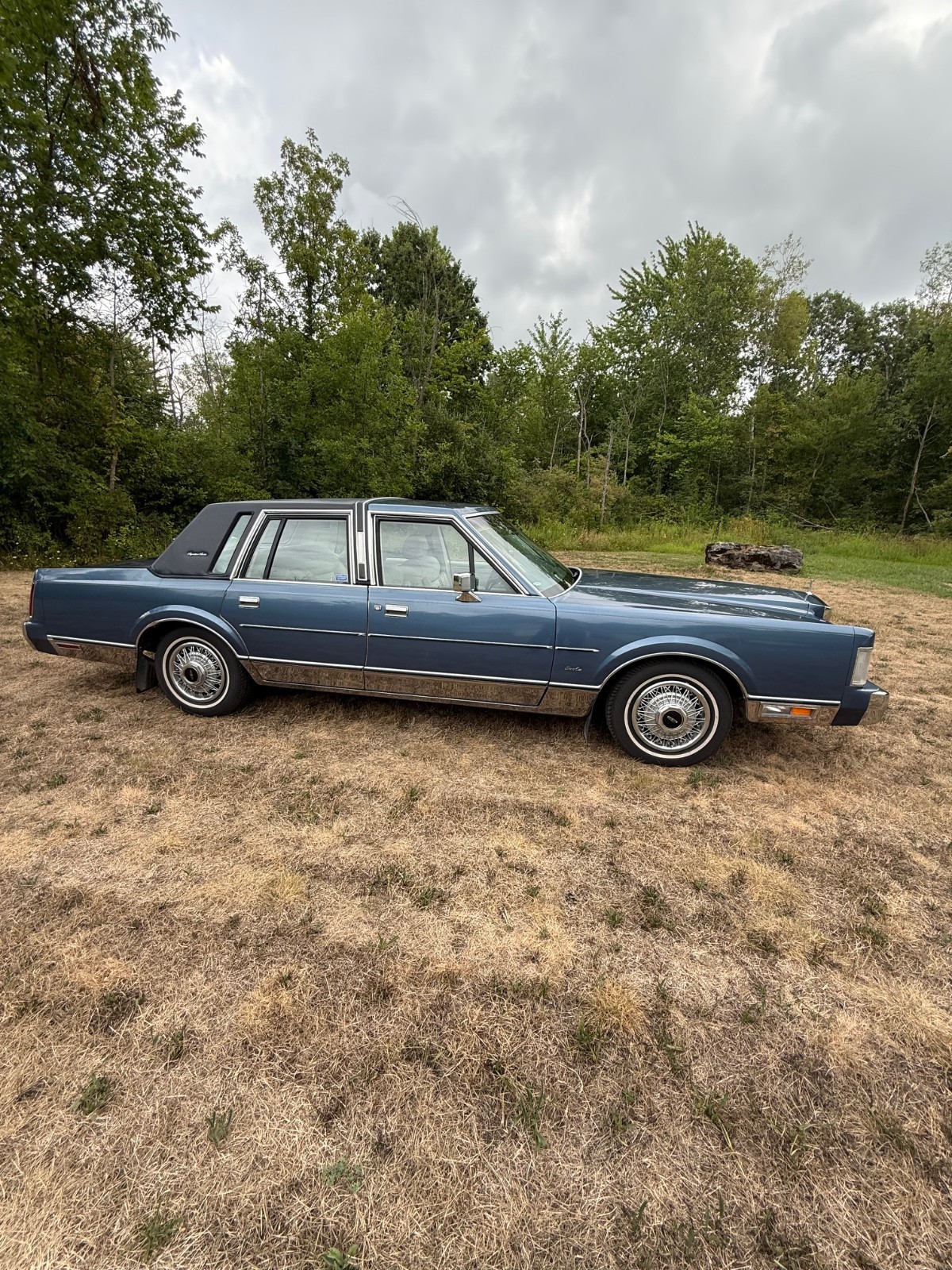 Lincoln-Town-Car-1988-Sedan-3
