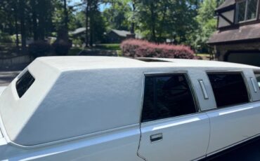 Lincoln-Town-car-1988-White-Gray-12