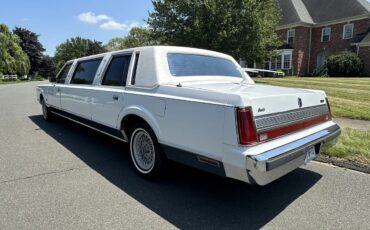 Lincoln-Town-car-1989-White-Burgundy-12