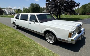 Lincoln-Town-car-1989-White-Burgundy-5