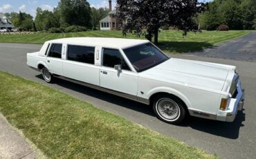 Lincoln-Town-car-1989-White-Burgundy-6