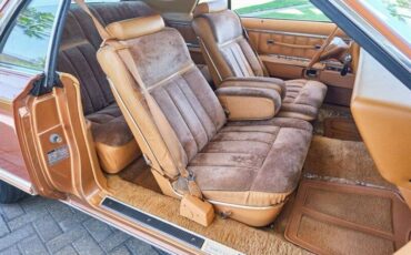 Lincoln-mark-v-1978-brown-19