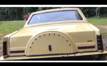 Lincoln-mark-vi-1980-yellow-6