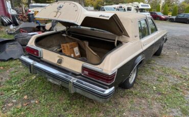 Lincoln-versailles-1979-brown-17