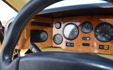 Lotus-1989-5