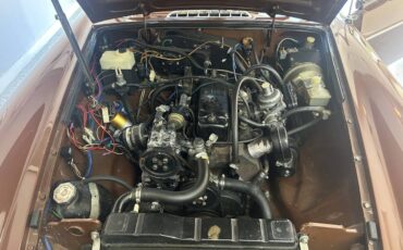 Mbg-roaster-1978-brown-3