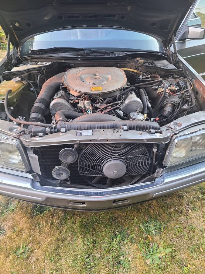 Mercedes-1981-grey-8