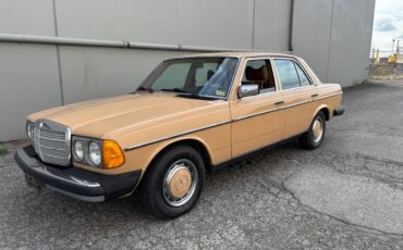 Mercedes-240d-diesel-1977-11