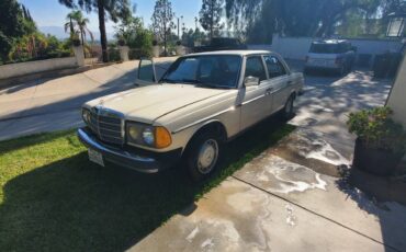 Mercedes-240d-diesel-1981-8