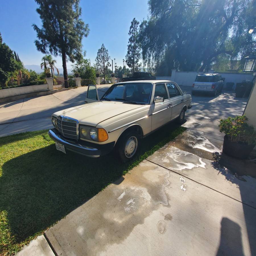Mercedes-240d-diesel-1981-8