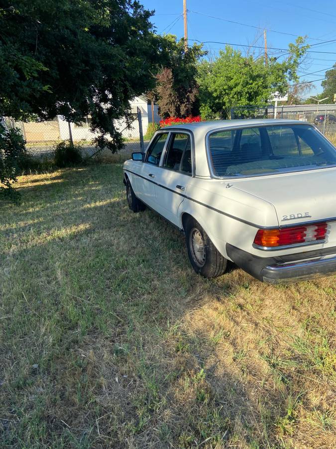 Mercedes-280-e-1981-white-1
