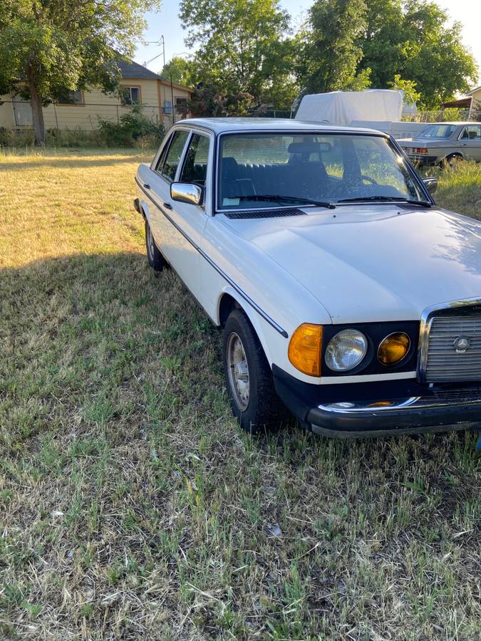 Mercedes-280-e-1981-white-13