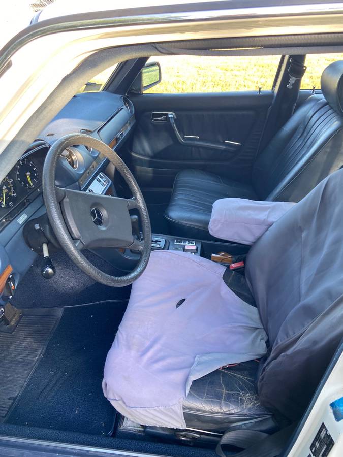 Mercedes-280-e-1981-white-4
