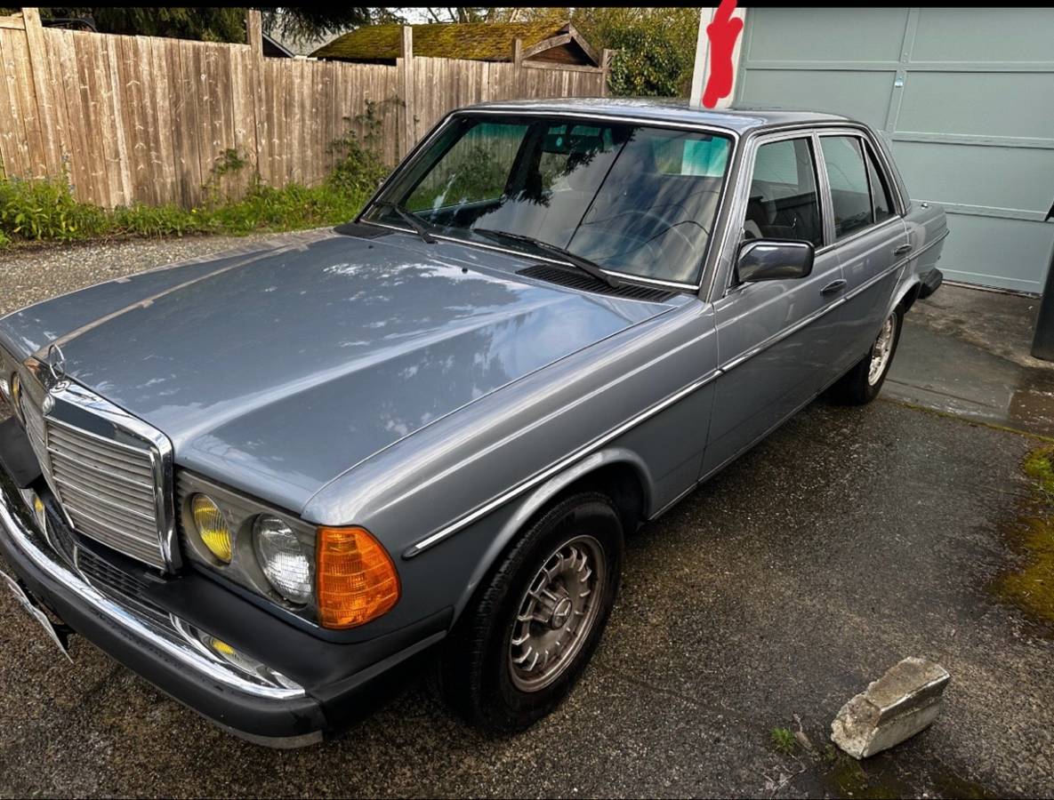Mercedes-300d-diesel-1983-blue-2