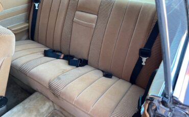 Mercedes-450slc-5.0-1980-brown-11