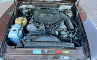 Mercedes-450slc-5.0-1980-brown-12