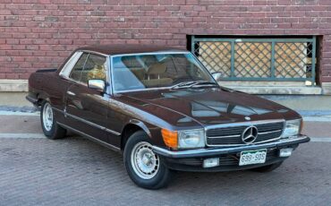 Mercedes-450slc-5.0-1980-brown-18