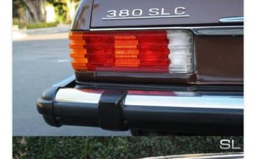 Mercedes-benz-1981-brown-1