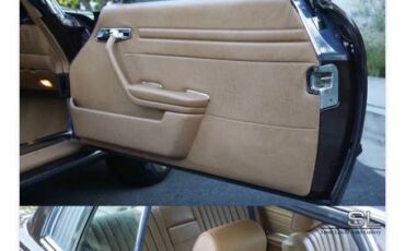 Mercedes-benz-1981-brown-3