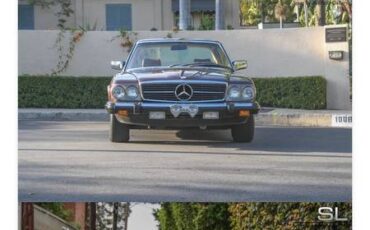Mercedes-benz-1981-brown
