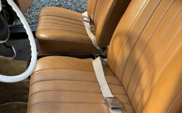 Mercedes-benz-220-1965-Gold-Beige-13