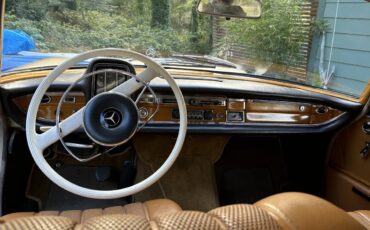 Mercedes-benz-220-1965-Gold-Beige-17