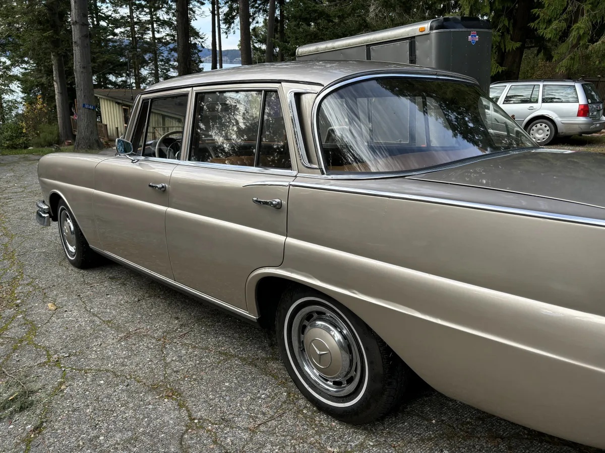 Mercedes-benz-220-1965-Gold-Beige-5