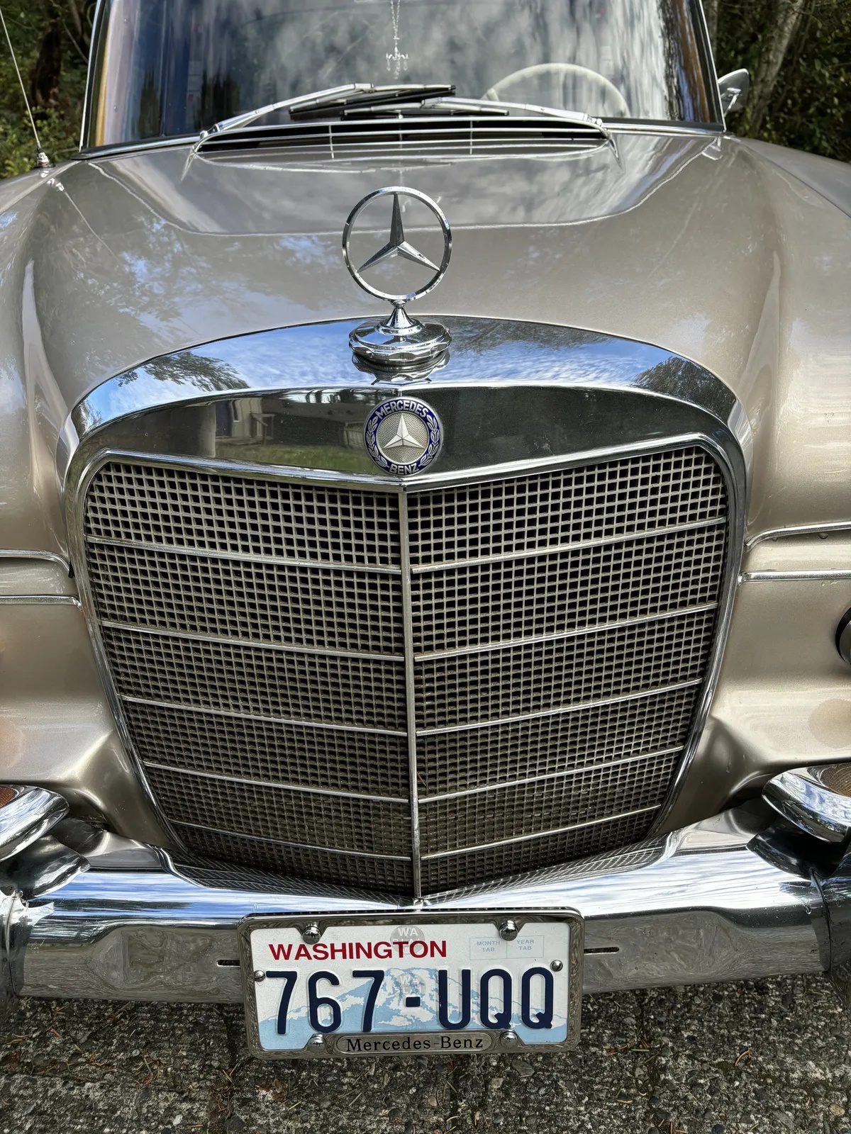 Mercedes-benz-220-1965-Gold-Beige-6