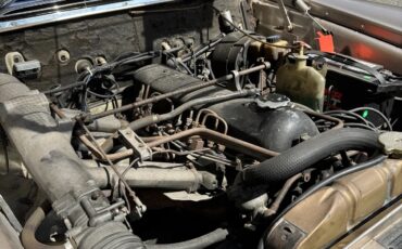 Mercedes-benz-220-1965-Gold-Beige-8