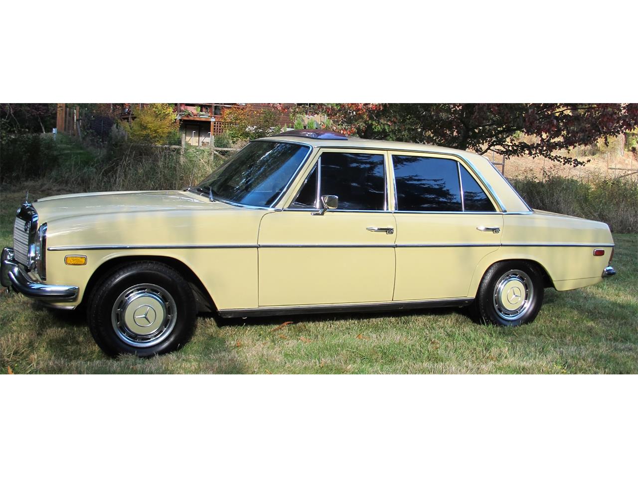 Mercedes-benz-220-1973-Maple-Yellow-Black-Leather-2