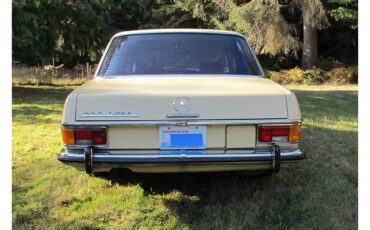 Mercedes-benz-220-1973-Maple-Yellow-Black-Leather-3