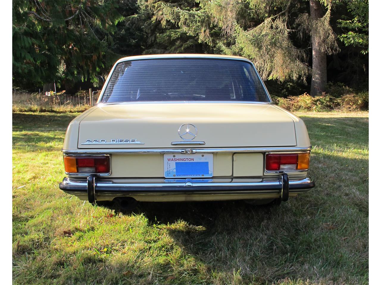 Mercedes-benz-220-1973-Maple-Yellow-Black-Leather-3