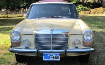 Mercedes-benz-220-1973-Maple-Yellow-Black-Leather